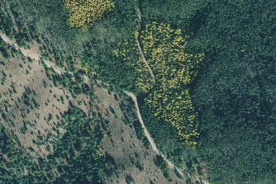Rd 2735 Site 3