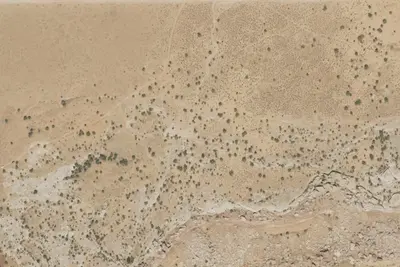 Camp site
