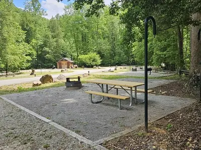 Curtis Creek Campground Loop