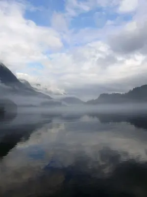 Foggy Indian Arm (39715868)