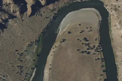 Camp site (Bureau of Land Management)