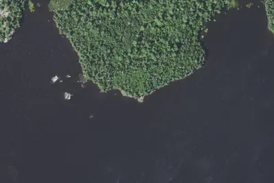 Lake Jeanette Site 8