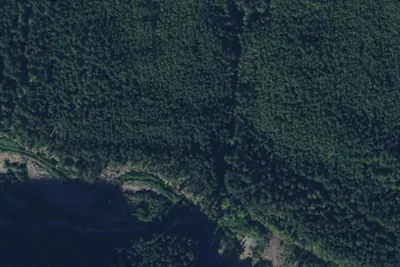 Suiattle River Trail Camping Area