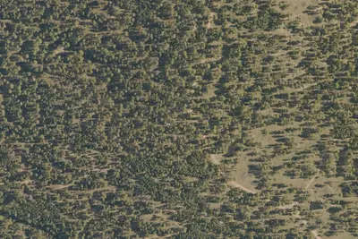Camp site