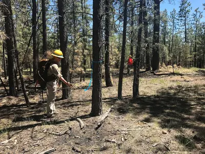 YCC-AZCC North Kaibab Ranger District 2017 (42929896385)