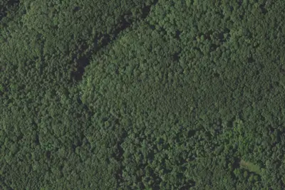 Camp site
