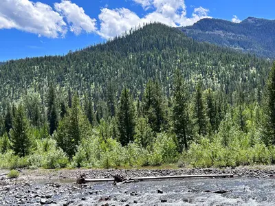 North Fork of the Shoshone River (Absaroka Mountains, Wyoming, USA) 3