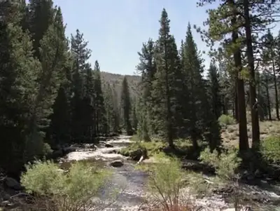 Robinson Creek South