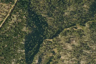 Camp site