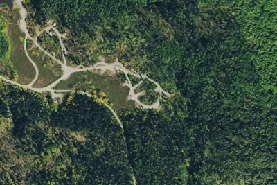 Camp site