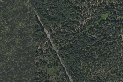 Camp site