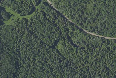 Sugar Run Campsites