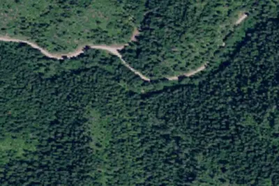 Rd 437 Site 15
