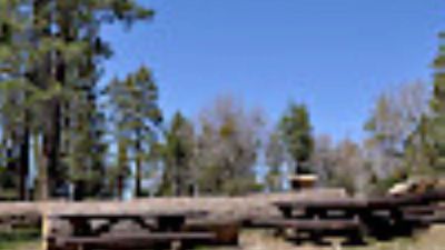 Tent Peg Group Campground