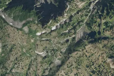 Bear Camp