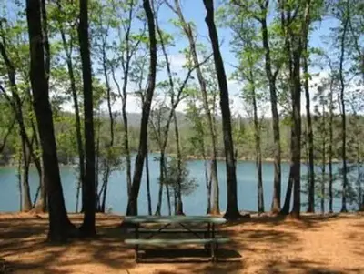 View showing the lake