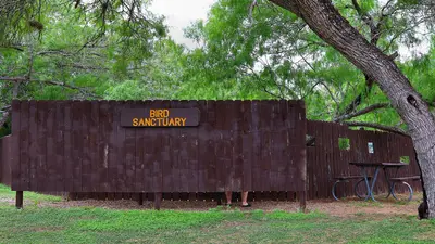 Bird Blind Choke Canyon SP Texas 2024
