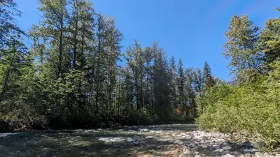 Bedal Campground