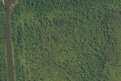 Camp site (Louisiana Department of Wildlife and Fisheries)