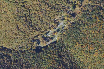 Mash Fork Campground