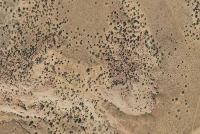 Camp site