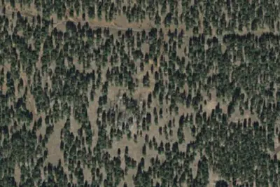 Camp site