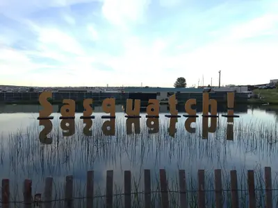 Sasquatch festival 2013