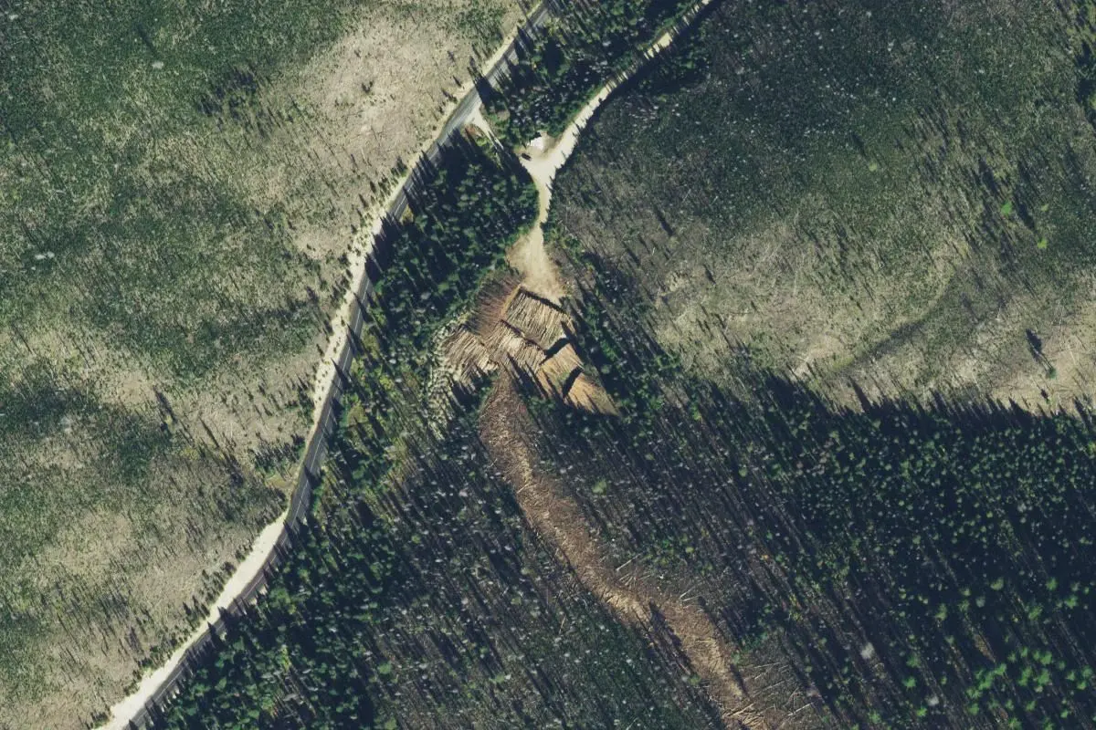 Aerial view