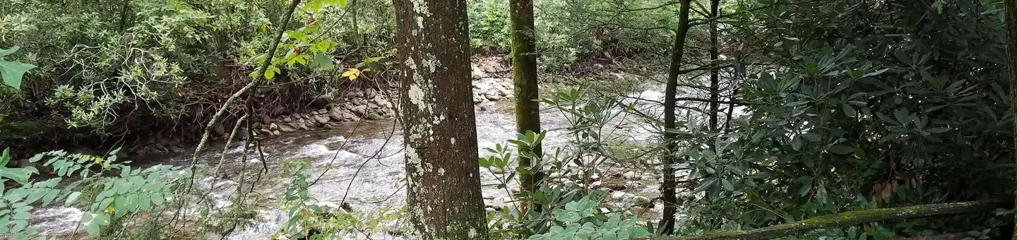 River