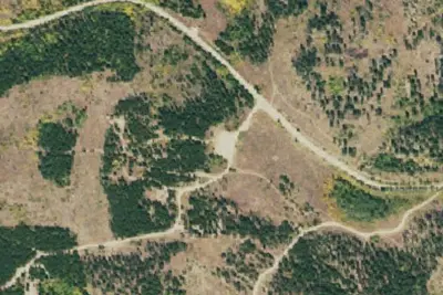 West Magnolia