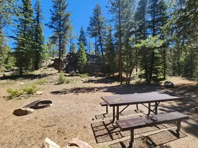 Campsite with picnic table and fire ring at Transfer Park