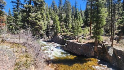 Transfer Park Campground