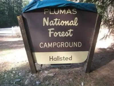 Hallsted CG Sign