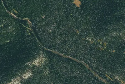 U.S. Forest Service Site 16