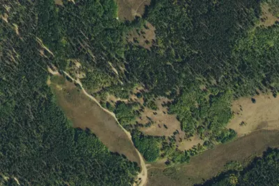 Camp site