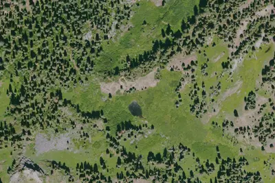 Camp site