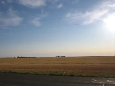 Farmer's field next to Park Lake (2796461006)