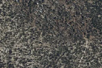 Camp site