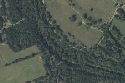 Primitive Campsite