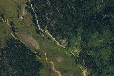Designated Campsite