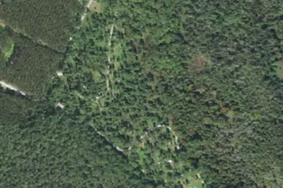 South Branch Trail Campground