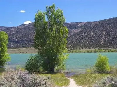 Joes Valley Pavilion Group Site a
