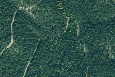Rd 4769 Site 1