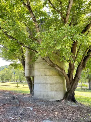 Silo, French Broad River Access Area, Barnard, NC (50528682921)