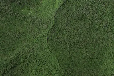 Camp site (NYSDEC)