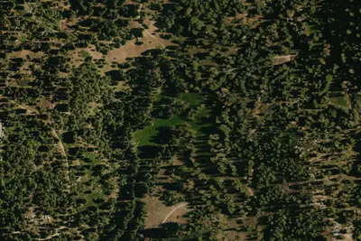 Log Corral Meadow