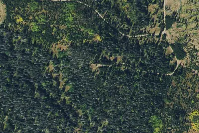Camp site