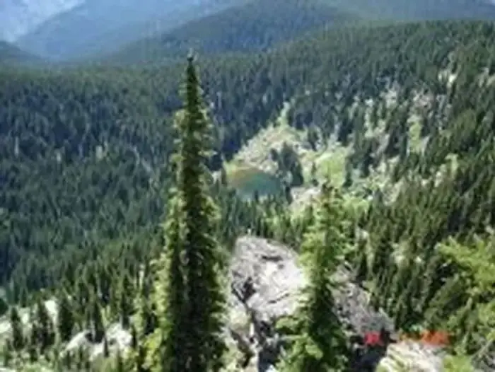 Cold springs peak cabin