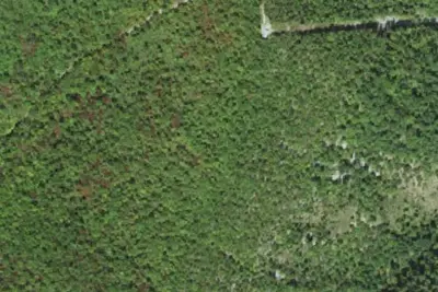Camp site