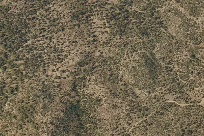 Site 7